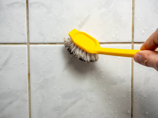 Best Local Mold Removal Service  in Bradford Woods, PA