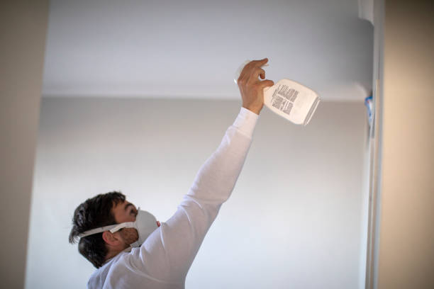 Best Professional Mold Removal  in Bradford Woods, PA