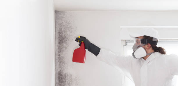 Best Certified Mold Removal  in Bradford Woods, PA