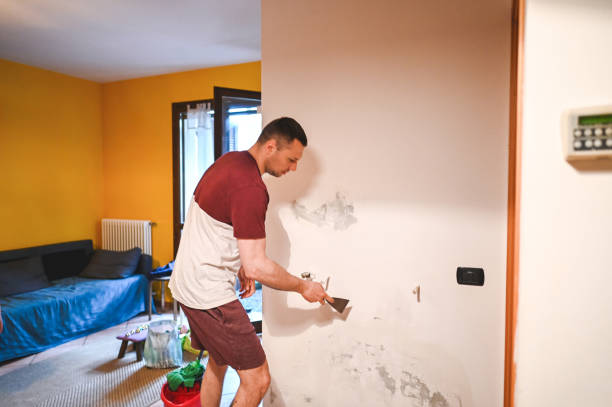 Best Commercial Mold Removal  in Bradford Woods, PA